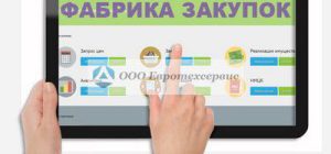 Электронная площадка Тендер Про: обзор системы