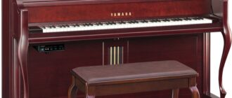 Акустическое пианино - плюсы благородного инструмента